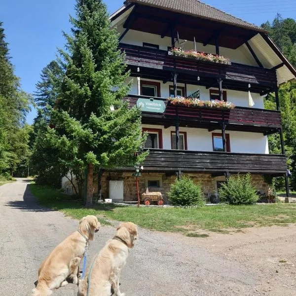Waldblick Ferienwohnungen，位于Mauchen的酒店