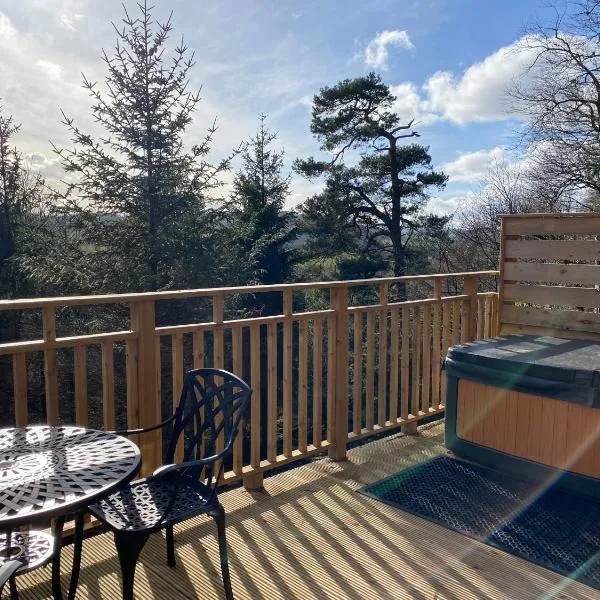Beechnut Lodge with Hot Tub，位于库珀的酒店