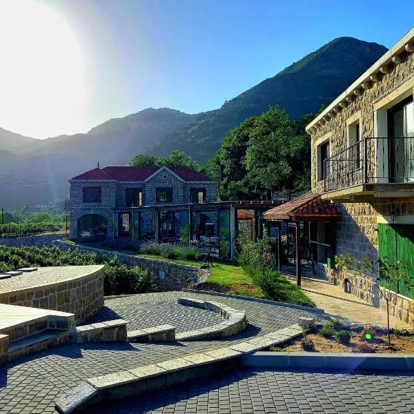 Markovic Winery and Estate apartments，位于Umci的酒店