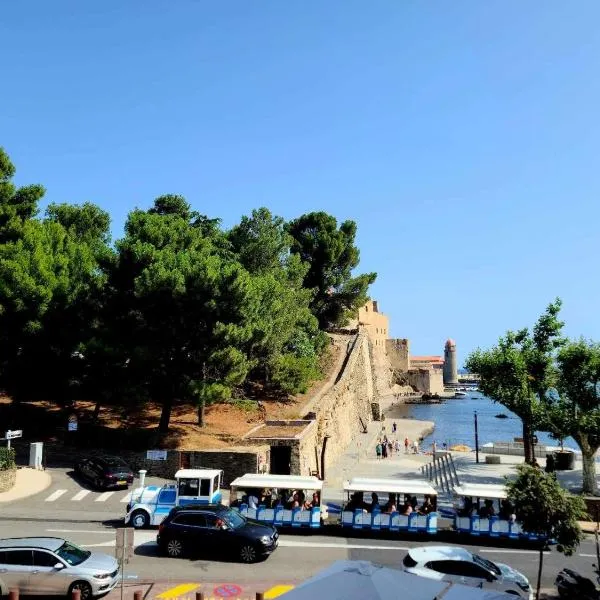 Charmante maison de village Collioure，位于科利尤尔的酒店