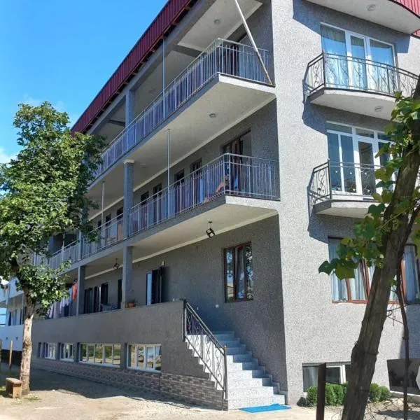 Gocha guest house，位于科布列季的酒店