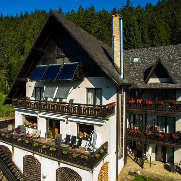 Bucovina Lodge Pension，位于Frumosu的酒店