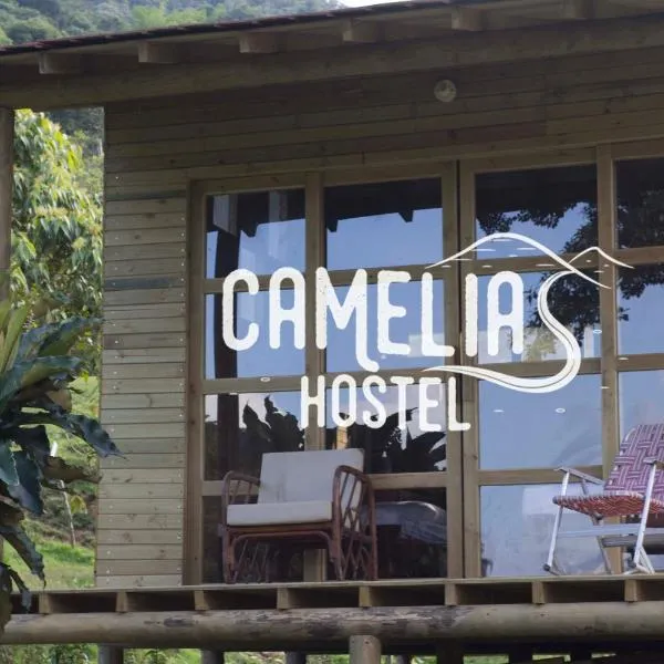 Camelia Hostel，位于San Carlos的酒店