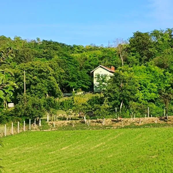 Baranja green peace，位于Draž的酒店