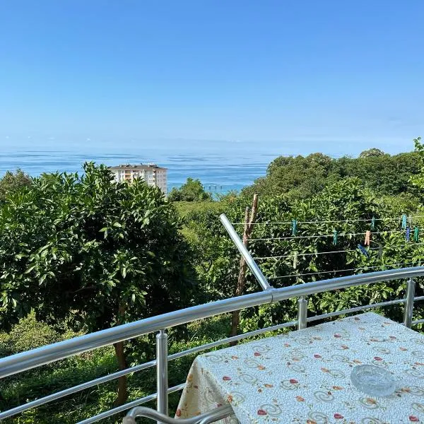 Delpina APART - Doğa içinde deniz manzaralı，位于Pazar的酒店