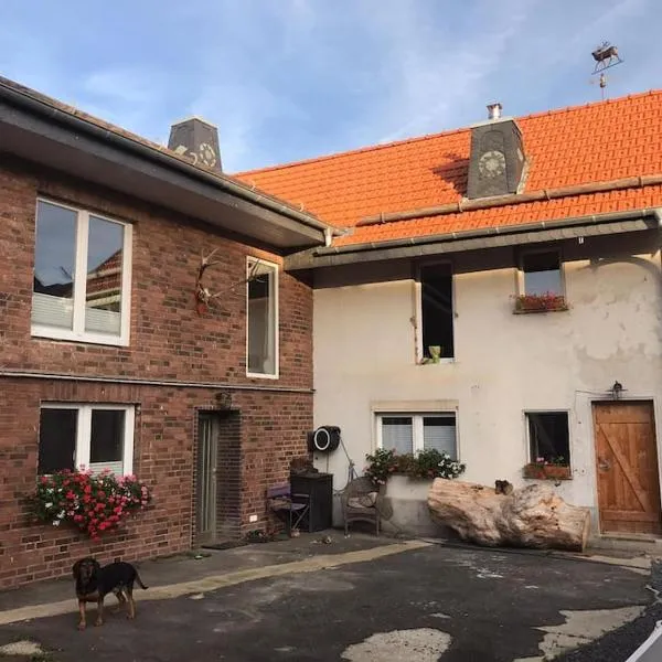 Ferienwohnung Felinenhof，位于维勒斯威特的酒店