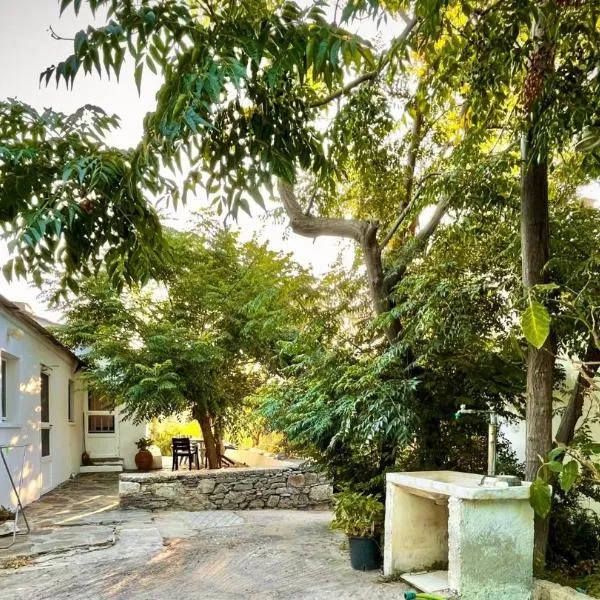 Two Bedroom 2 Bathroom House，位于法纳里的酒店
