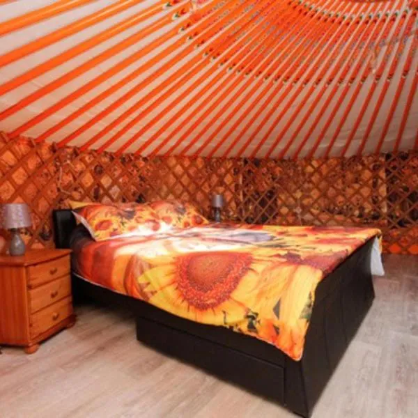 Orange Yurt with Hot Tub- Sleeps 3 Parking & WiFi，位于Turriff的酒店