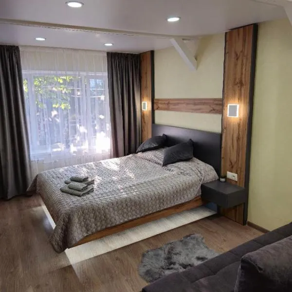 Апартаменти на Лесі Українки Центр 5хв Старе місто Парк，位于卡缅涅茨-波多利斯基的酒店