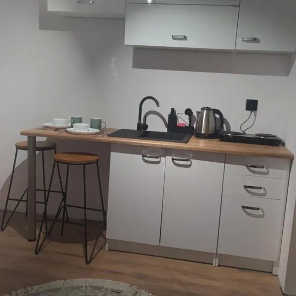 Apartamenty w Pieninach - studio 2 osobowe，位于克罗奇琴科的酒店