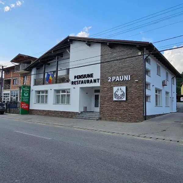 Pensiune Restaurant Pizzerie 2 Păuni，位于博尔沙的酒店