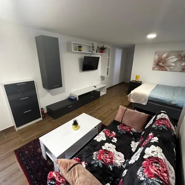 Apartment Radić 1，位于Sošice的酒店