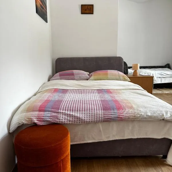 Apartment Radić 2，位于Sošice的酒店