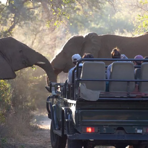 Karongwe Portfolio - Chisomo Safari Camp，位于侯斯普瑞特的酒店