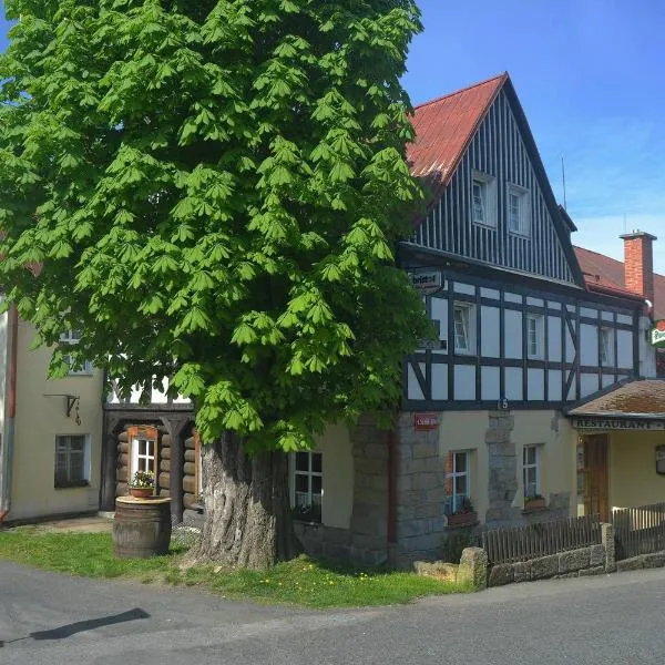 Hotel U Zeleného Stromu - Zum Grünen Baum，位于Dolní Poustevna的酒店