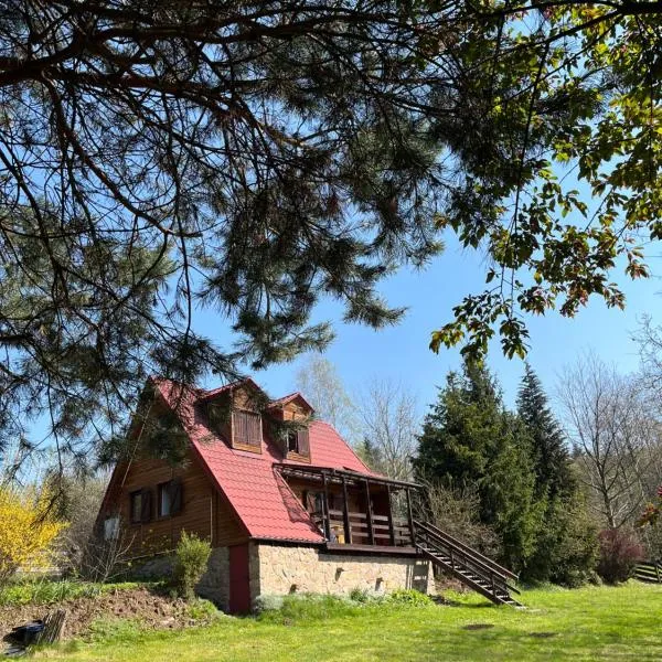 Izdebka na Podchybiu，位于Izdebnik的酒店