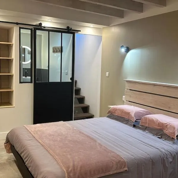 Les gîtes du Canal du midi - Gîte Loft'Oten，位于Avignonet-de-Lauragais的酒店