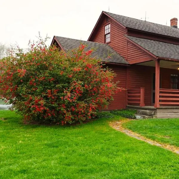 Whimsical Cottage w/ Pond View，位于Dundee的酒店