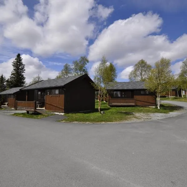 贝托斯托兰山林小屋，位于Vang I Valdres的酒店