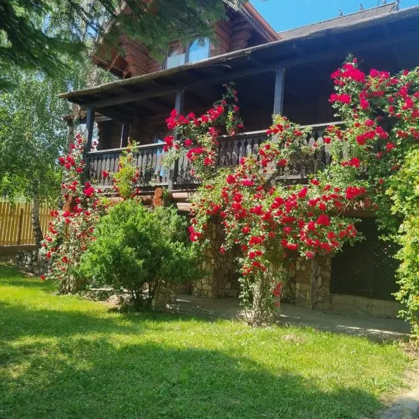 Cabana Haiducului，位于索韦亚的酒店