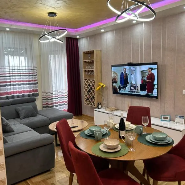 Apartman Branković Pirot-Zapadni Kej 58，位于皮罗特的酒店