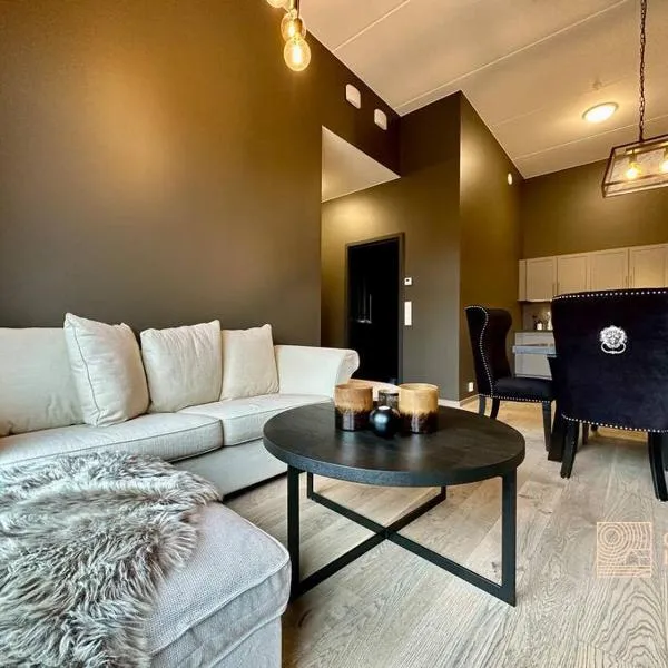 New high standard apartment in Trysil with ski in out，位于特吕西尔的酒店