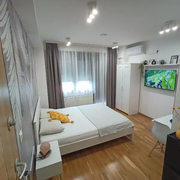 Apartman Luxor，位于雅戈丁那的酒店