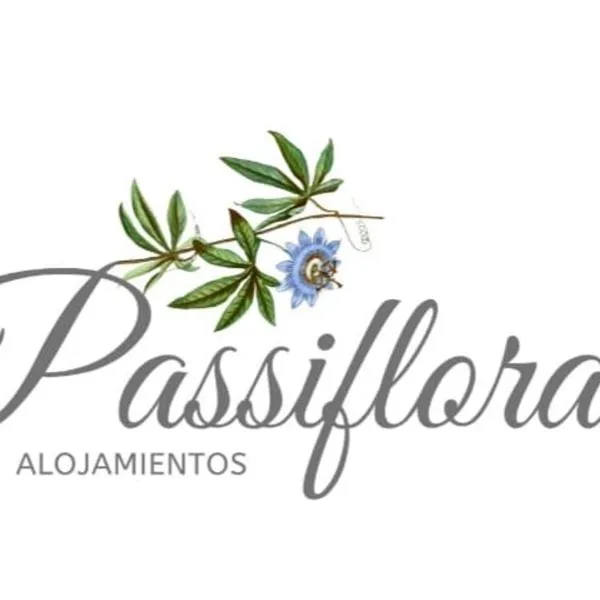 Casa Passiflora II，位于帕尔马的酒店
