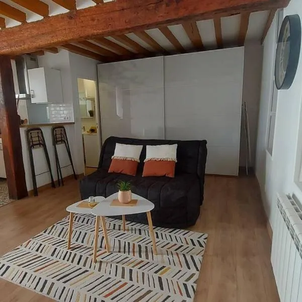 Appartement cosy au coeur d'Auvers-Sur-Oise，位于瓦兹河畔欧韦的酒店