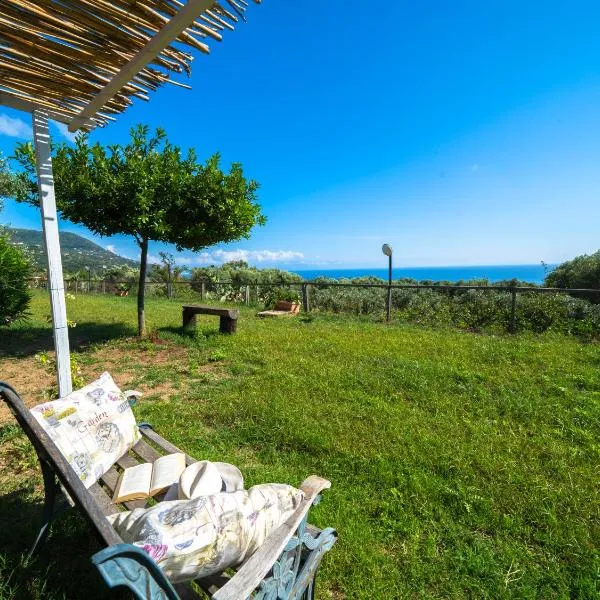 Residence Olimpo，位于梵蒂冈角的酒店