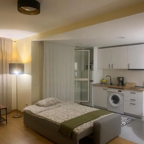 Casa Cristina - Rioja II，位于塞尼塞罗的酒店