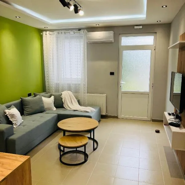 Apartman Novi Sad，位于彼得罗瓦拉丁的酒店