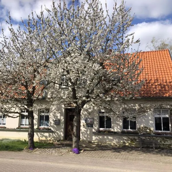 Landhof Trittelwitz，位于Schönfeld的酒店