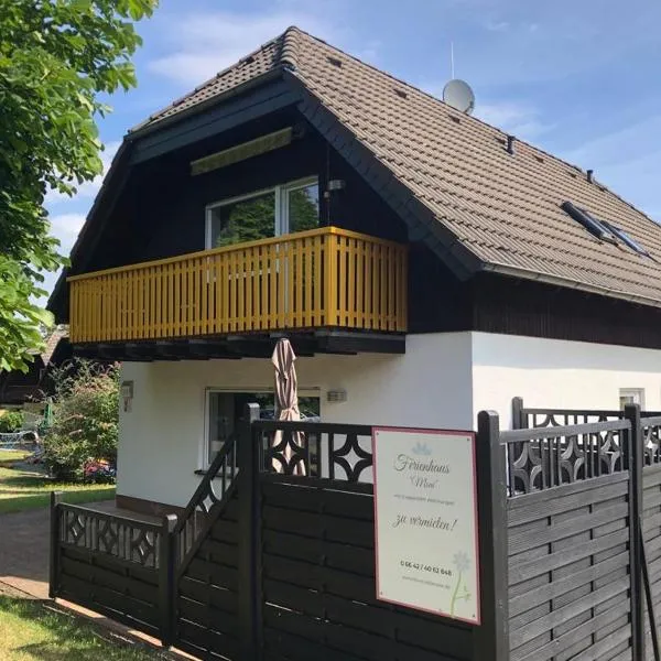 Ferienhaus Moni mit 2 separaten Wohnungen am Silbersee，位于Neuental的酒店