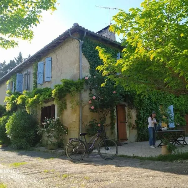 Ferme typique de Gascogne，位于Clermont-Pouyguilles的酒店