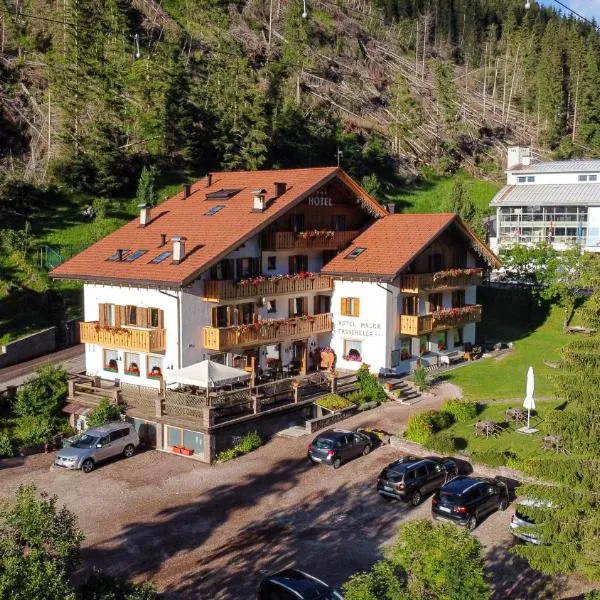 Hotel Malga Passerella，位于莫埃纳的酒店