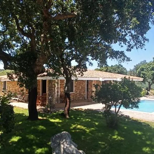 Villa De La Seliga，位于圣安托尼奥迪加卢拉的酒店