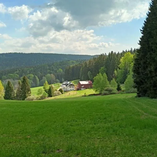 Haus Waldschänke，位于Erlbach的酒店