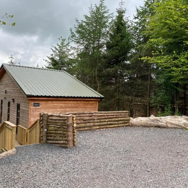 Holly Berry Lodge with Hot Tub，位于库珀的酒店