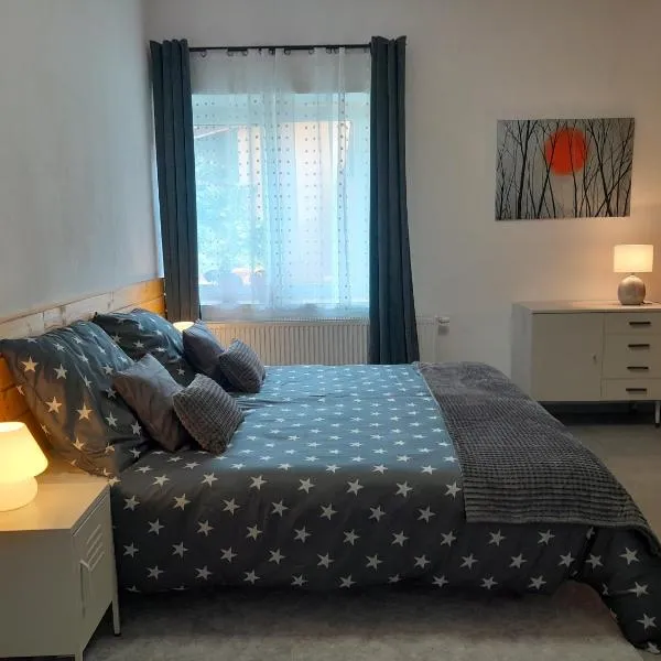 Apartmán Maya，位于帕尔杜比采的酒店
