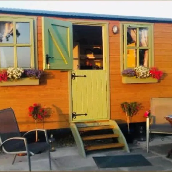 Mountain View Shepherds Hut，位于Ballymartin的酒店