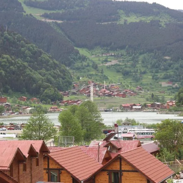 My Home Uzungöl，位于乌宗的酒店