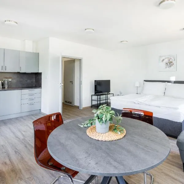 Apartmán v Poděbradech，位于波杰布拉迪的酒店