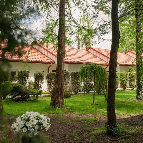 Noclegi Pod Dębem u Jakuba，位于Pobiednik Wielki的酒店