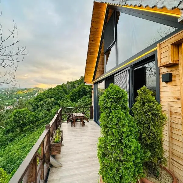 Greenlife Dağevleri，位于里泽的酒店