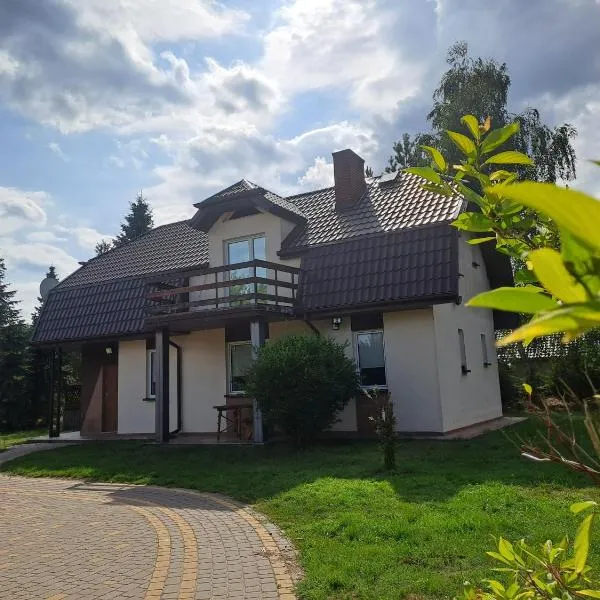 Dom nad jeziorem，位于Rzewnie的酒店