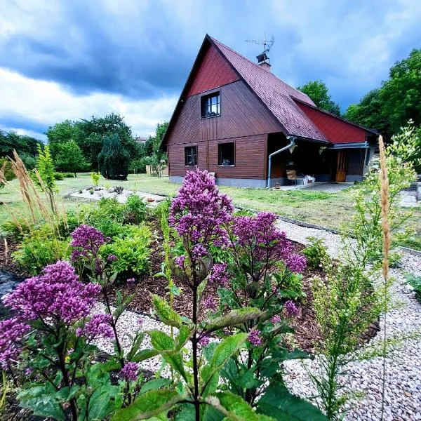 Apartmán v podzámčí，位于科内日诺河畔里赫诺夫的酒店