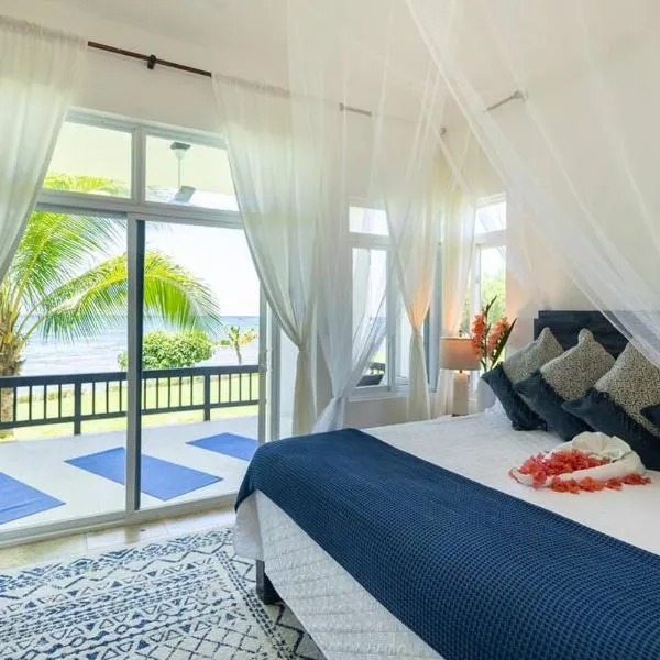 Ivy's Cove Beach Side Condo - Luxury Villa，位于白豪斯的酒店