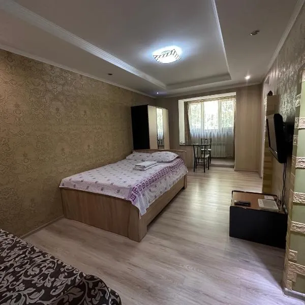 Однокомнатная квартира напротив Аэропорта Алматы，位于Turksib的酒店