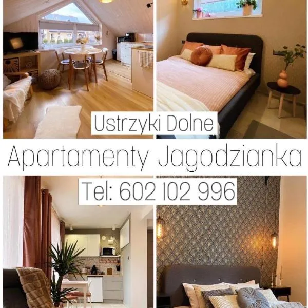 Apartamenty Jagodzianka - Jacuzzi, Sauna, Tężnia solankowa，位于下乌斯奇基的酒店